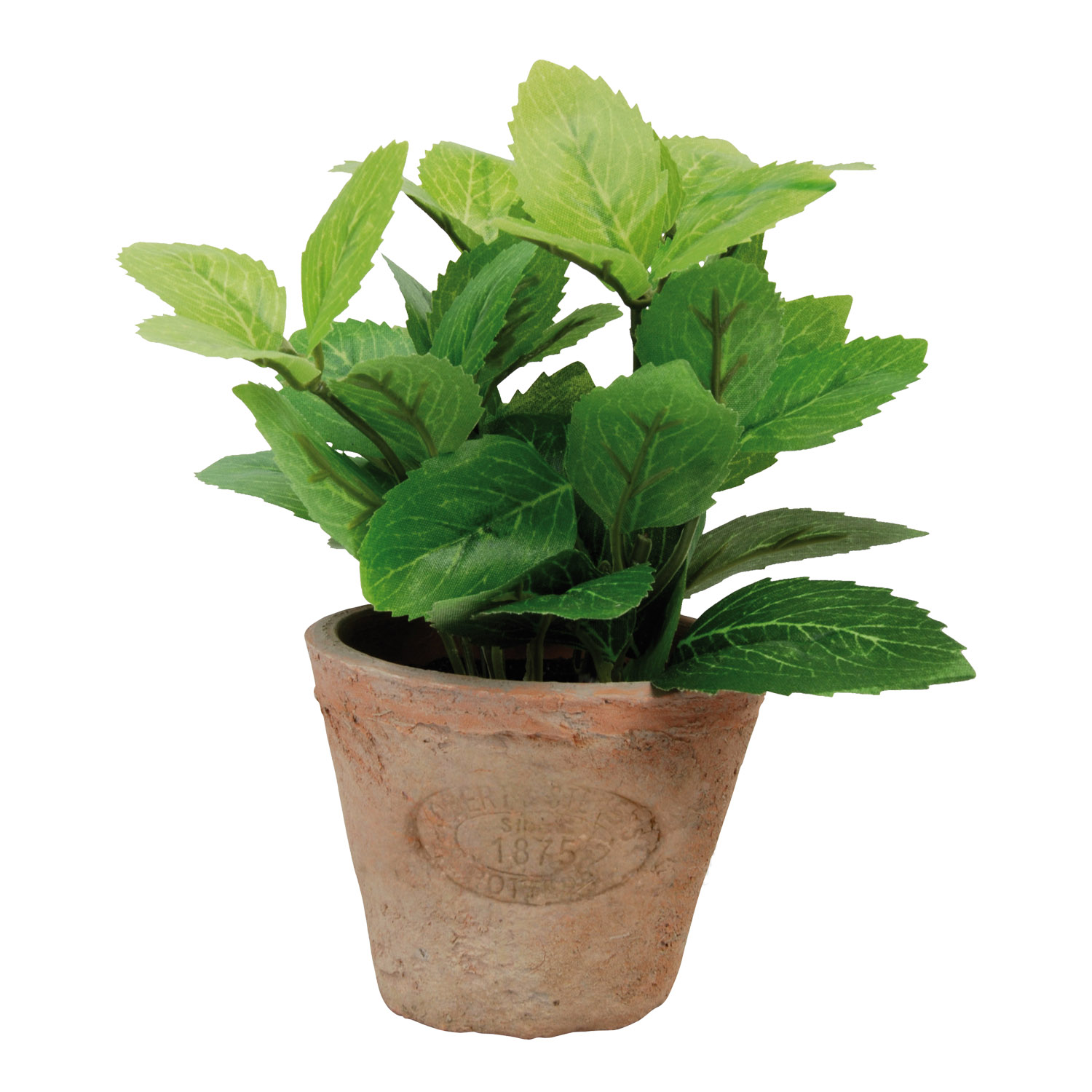 MUNT IN EEN POT - 101 6878 - 060676