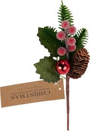 BESSENTAK ROOD 6 ASSORTI DESIGN - 12 10 20 30 40 50 60 70 80 90 100 110 120 130 140 150 160 170 180 190 200 210 220 230 240 250 260 - 486753