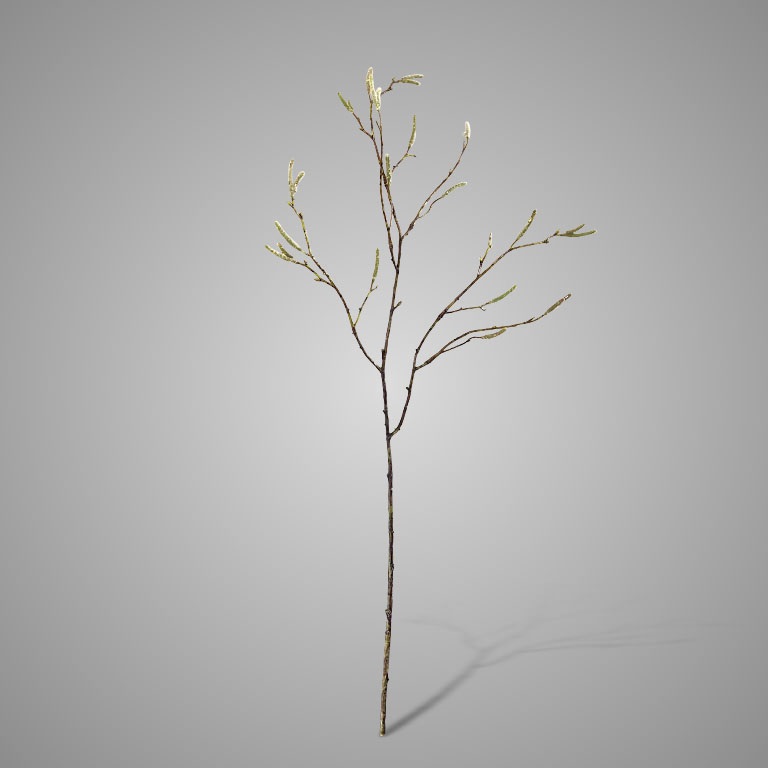 KUNSTBLOEM BETULA FRUCTUS 77 CM - 13 10 20 30 40 - 0010539185