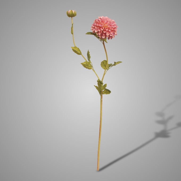 KUNSTBLOEM DAHLIA FADING 80CM - 16 9 - 0010539209