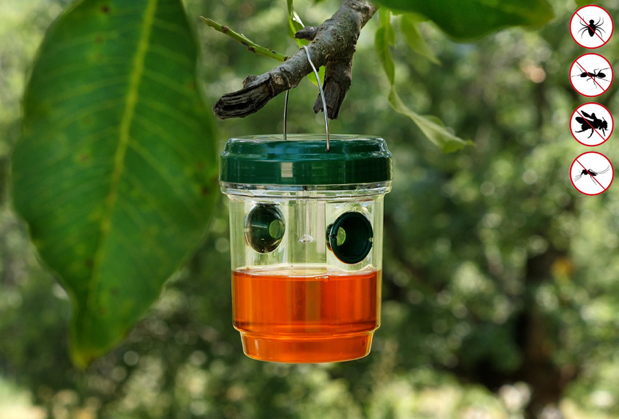 MUGGEN/WESPENVANGER SOLAR - 3 10 20 30 40 50 60 70 80 90 100 110 120 130 140 150 160 170 180 190 200 210 220 230 240 250 260 270 280 290 300 310 320 330 340 350 360 370 380 390 400 410 420 430 440 450 460 470 480 490 500 510 520 530 539 - 531945