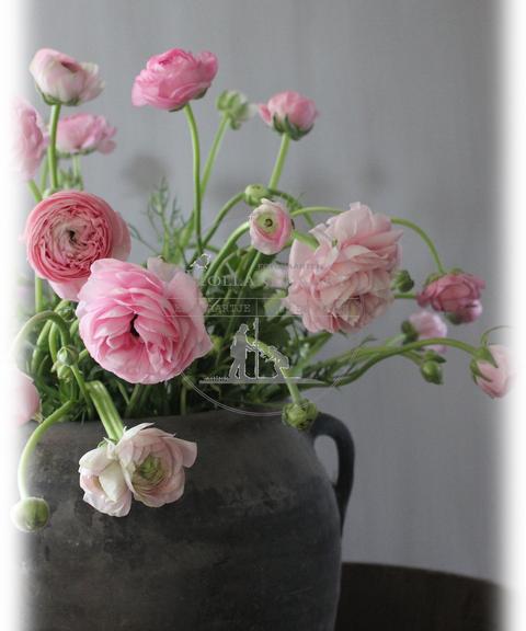 FOTO WENSKAART ASS - 4 10 20 30 40 50 60 70 80 90 100 110 120 130 140 150 160 170 176 - 010337