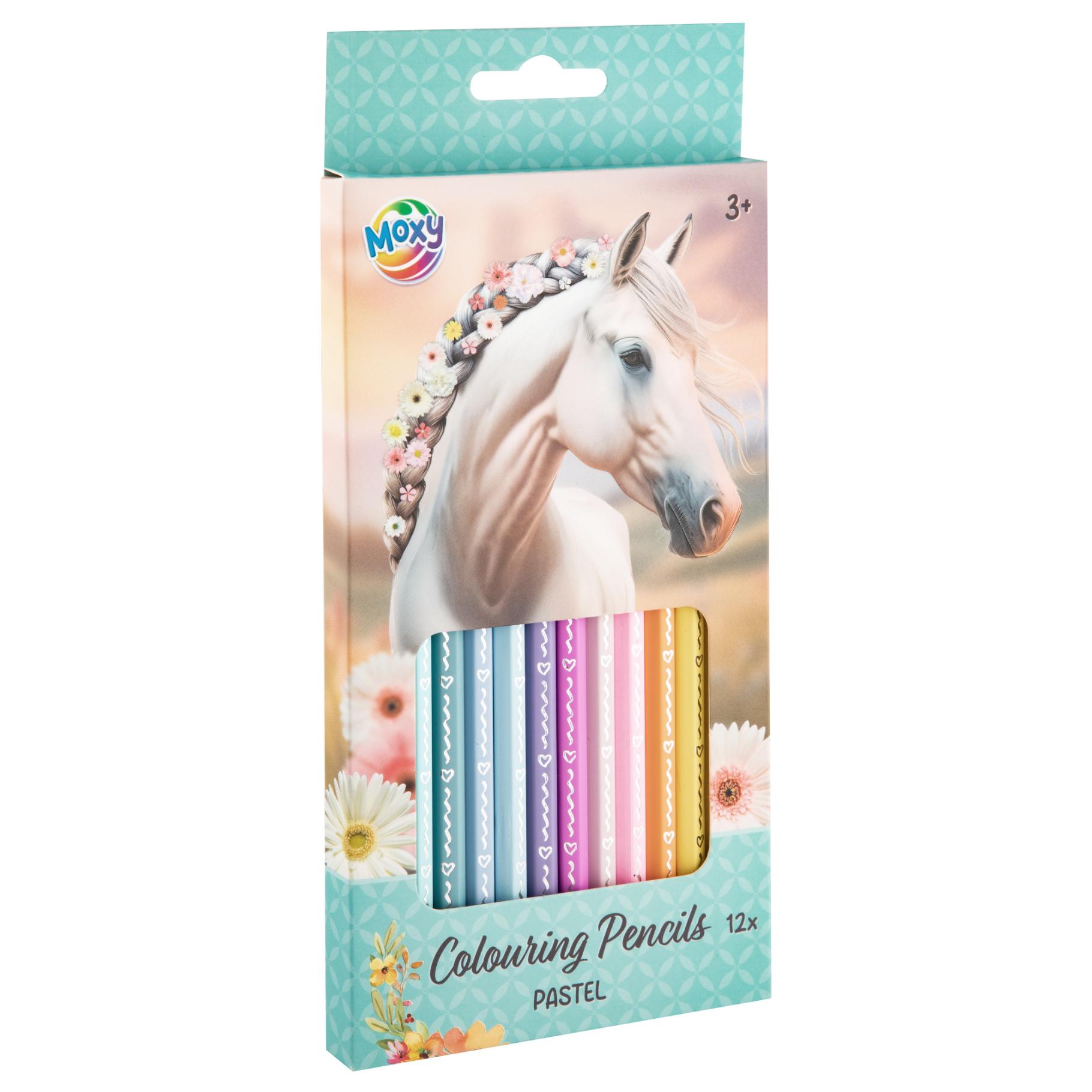 HORSE KLEURPOTLODEN 12 STUKS - 6 10 20 30 40 50 60 70 80 90 100 110 120 130 140 150 160 170 176 - 537341