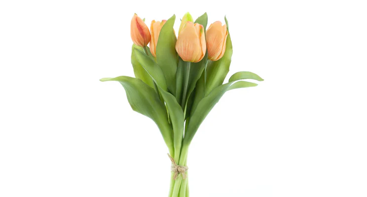 TULP NOAH ORANJE/PEACH  NET ECHT! - 8 10 20 30 40 50 60 61 - 493120