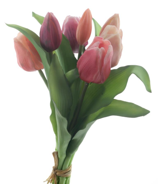 TULP NOAH MIX ORAL NET ECHT! 7 STUKS - 8 10 20 30 40 50 60 66 - 413571