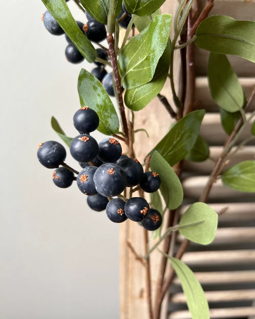 BRYNXZ ZIJDEN ZWARTE BLAUWE BESSEN TAK - 8 10 20 30 40 50 60 70 80 90 100 110 120 129 - 0010539420