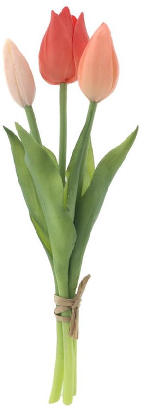 MINI TULP ORANJE/PEACHE/PINK NET ECHT! - 8 10 20 30 40 50 60 - 030358