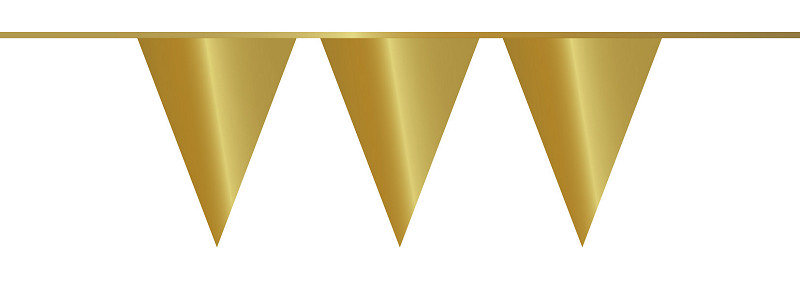 VLAGGENLIJN GOLD METALLIC 10 METER - 8711319055613 - 0010537979