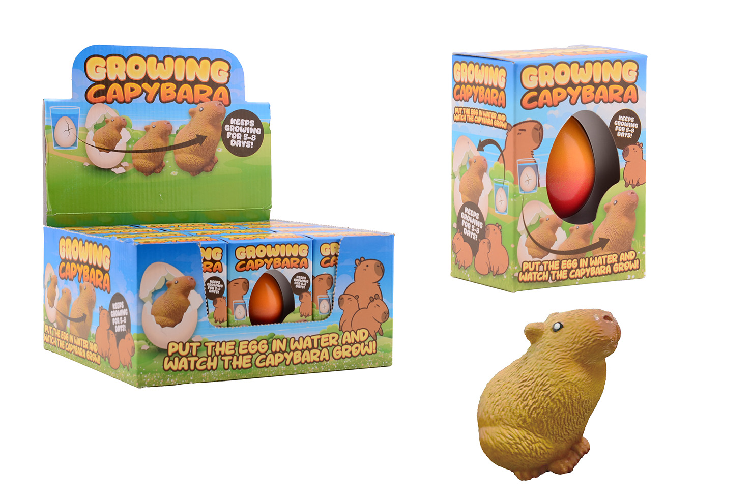 GROEIENDE CAPYBARA EI IN DOOS ASSORTI - 8711866246601 - 0010554797