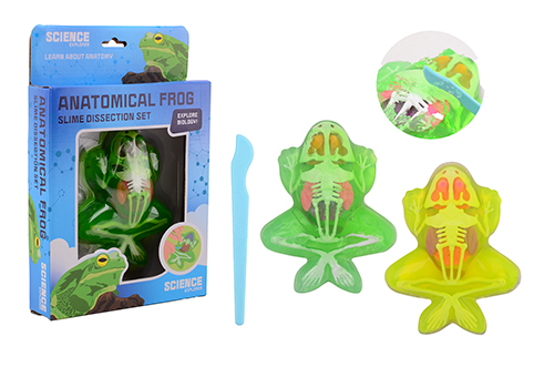 SCIENCE EXPLORER KIKKER ANATOMIE SLIJM - 8711866296910 - 0010548069