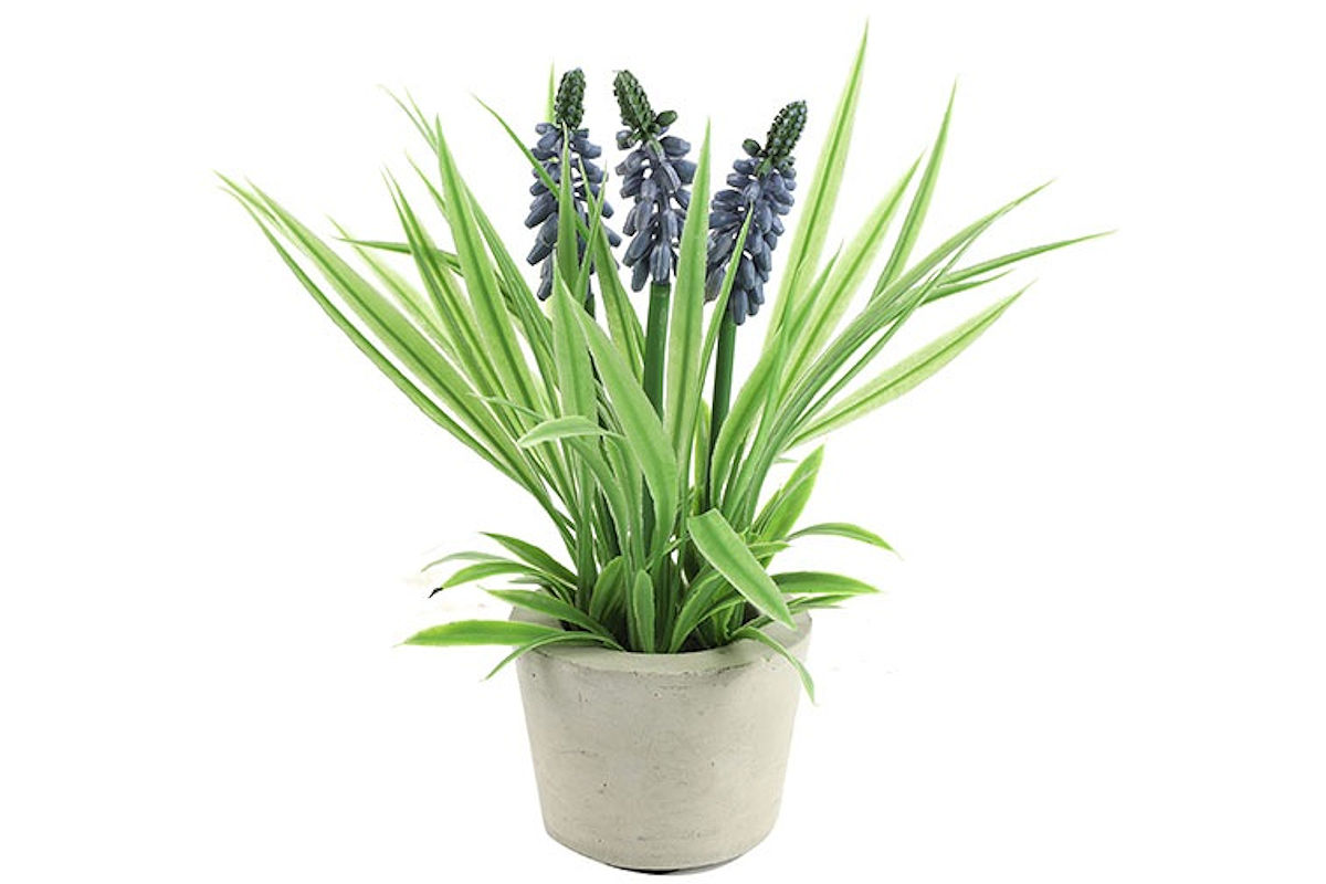 KUNSTBLOEM IN POTJE MUSCARI BLAUW 21 CM - 8718317757891 - 534474