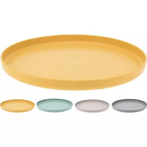EH BORD 25.3CM VERSCHILLENDE KLEUREN - 9 10 20 30 40 50 60 70 80 90 100 110 120 130 140 150 160 170 180 190 200 210 220 230 240 250 260 270 280 290 300 310 320 - 534485