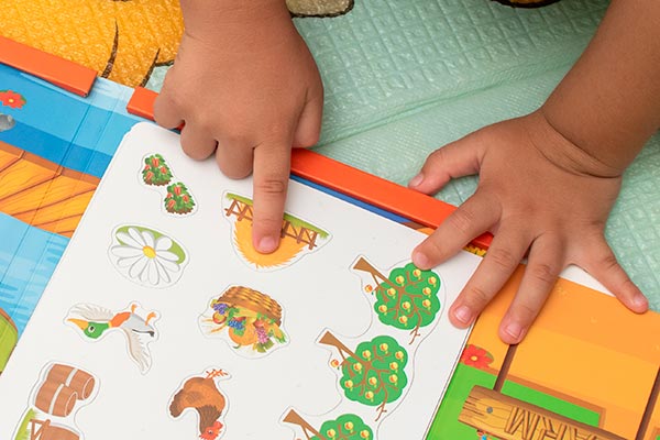 Leersystemen & uitbreidingen